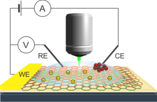 Spectroelectrochemistry